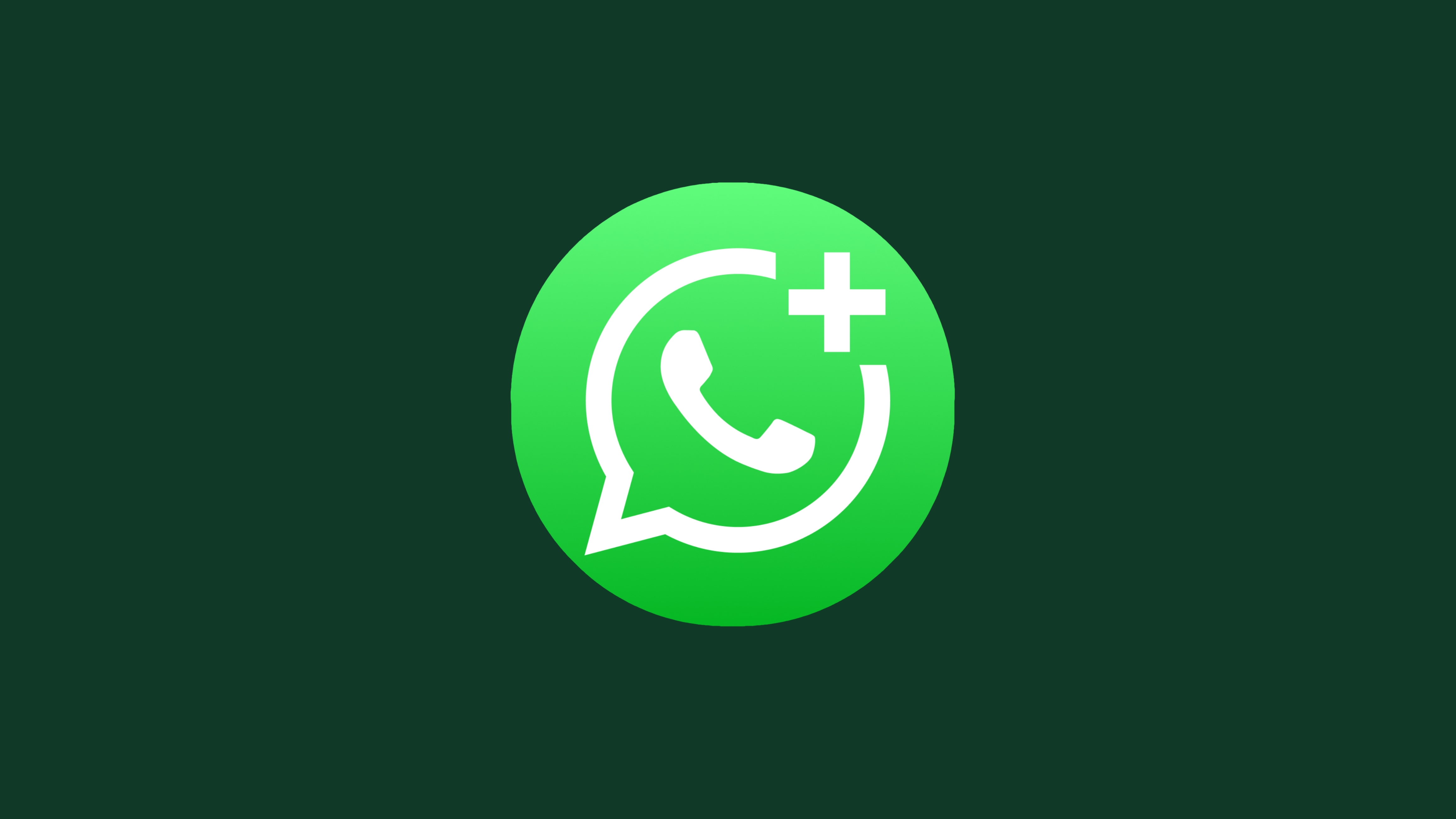 WhatsApp Number Filter Helper Software Instructions